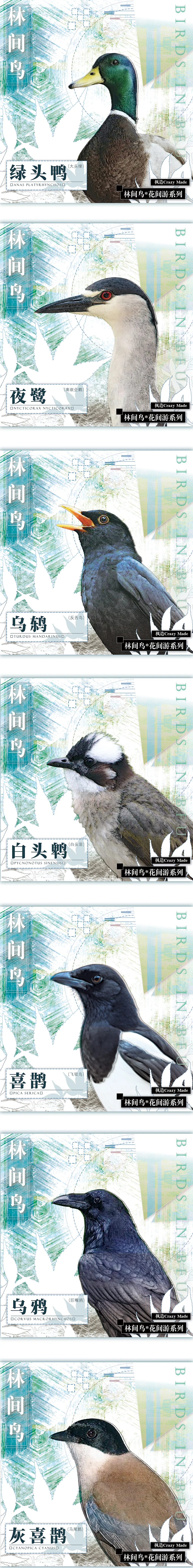 林间鸟 - 宣传海报