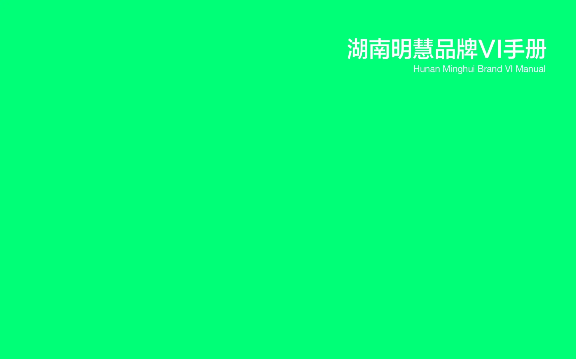 湖南明慧 VI 手册页面