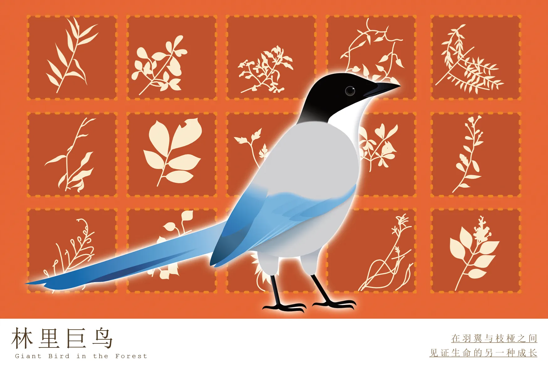 林间晨曦 - 正面