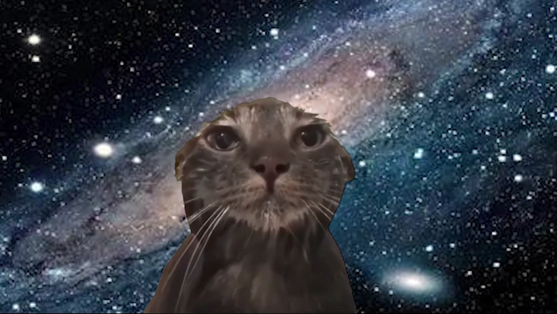 女大学生的一天